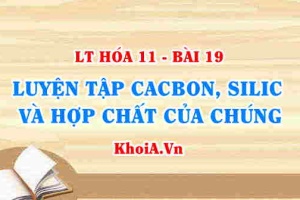 Luyện tập tính chất của Cacbon, Silic và hợp chất của Cacbon, Silic - Hóa 11 bài 19